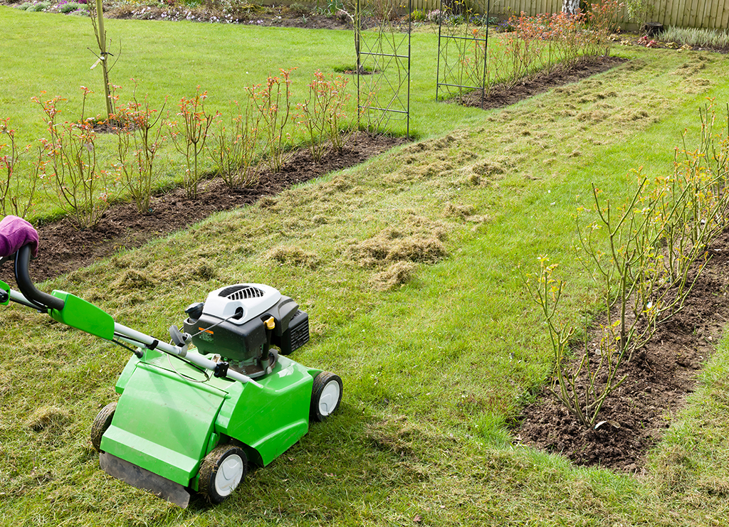 scarifying de-thatching